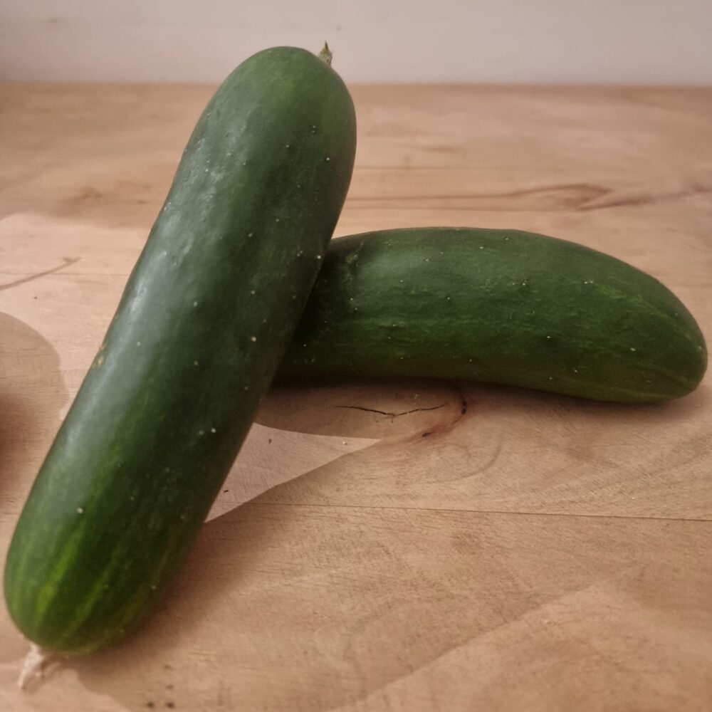 Pepino