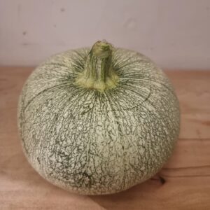 Calabacín redondo especial rellenar