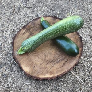 Calabacín verde