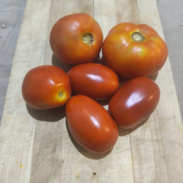 Tomate ensalada, gazpacho y salsa