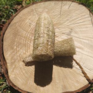 Esponja La Luffa Antipetrolera
